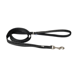 Black leash for dogs.