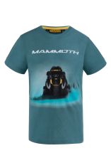 Mammoth Teal t-shirt