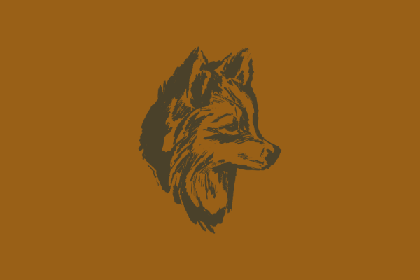 Koira-kapselimallisto